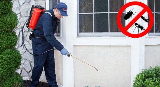Derinkuyu Kemirgen İlaçlama böcek ilaçlama ve haşere kontrolü — ilaclama-tr.com